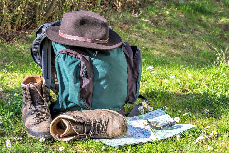 gear for hiking with dogs