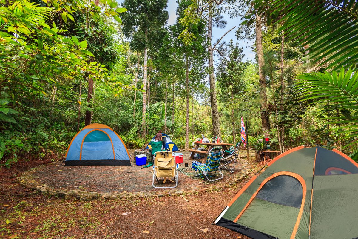 keep snakes away from your campsite